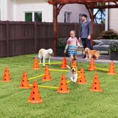 Agility překážky pro psy | oranžové + žluté č.1