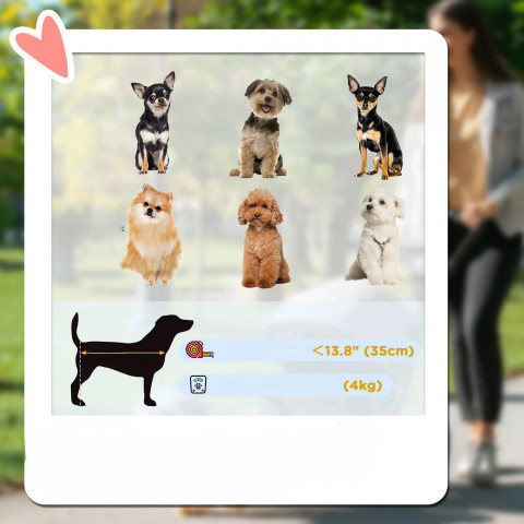 Kočárek pro mini psy do 4 kg | světle šedý č.6