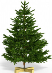 Umělý vánoční stromek Premium 150cm č.1