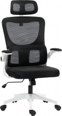 Ergonomická židle s bederní opěrkou | černá č.1