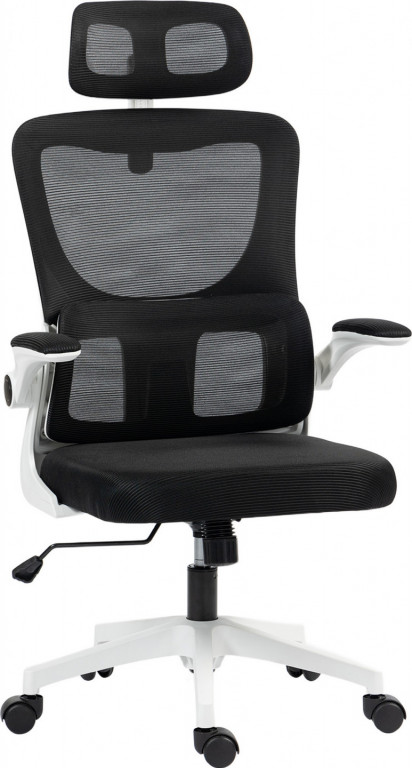 Ergonomická židle s bederní opěrkou | černá