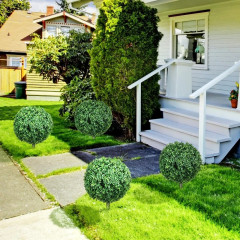 Sada 2 umělých zimostrázů 70 cm | zelené