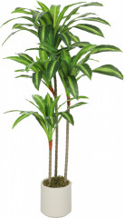 Umělá rostlina Dracena 60x40x120 cm | zelená