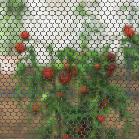 Ochranná síť na rostliny 2,5 x 1,2 m | černá č.3