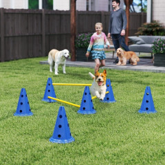 Agility set s výškově nastavitelnými překážkami | modrý + žlutý č.1
