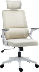 Ergonomická kancelářská židle s nastavitelnou opěrkou hlavy | béžová č.1