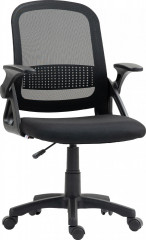 Ergonomická kancelářská židle se sklopnými područkami | černá č.1
