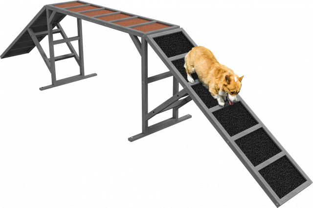 Agility rampa pro psy 325x55x60 cm | šedá č.2