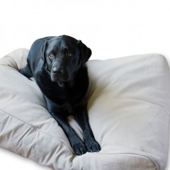 Luxusní pelíšek pro psa Lex & Max Professional 90 x 60 cm | béžový č.1