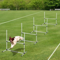 Agility překážky pro psy 95 x 65 x 95 cm| bílá č.2