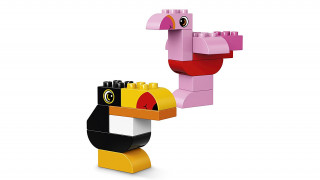 LEGO Duplo 10853 Kreativní box pro stavitele č.3