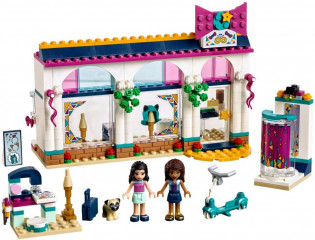 LEGO Friends 41344 Andrea a její obchod s módními doplňky č.3