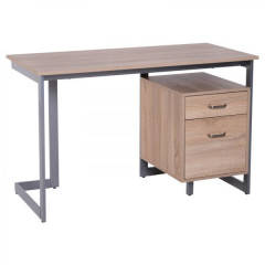Kancelářský stůl se dvěma zásuvkami 120 x 58 x 76 cm | dub č.1