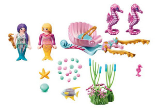 Playmobil 70033 StarterPack Kočár s mořskými koníčky č.3