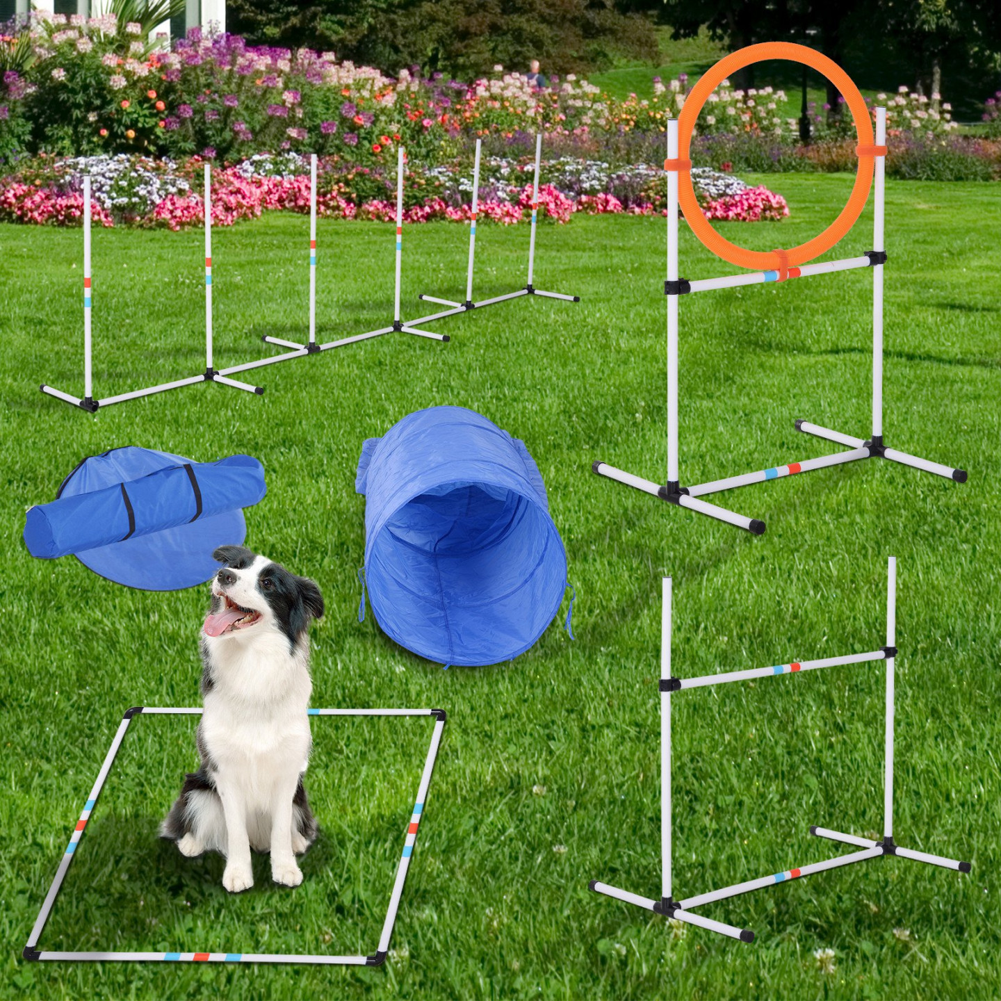 Goleto Agility překážky pro psy s tunelem a kruhem