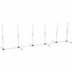 Agility slalom pro psy č.2