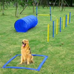 Agility překážky pro psy | sada 4 typy č.1