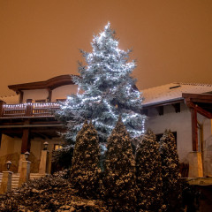 Vánoční LED osvětlení 60 m | studená bílá 600 LED | zelený kabel č.3