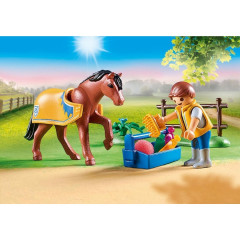 Playmobil 70523 Welshský poník č.3