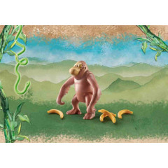 Playmobil Wiltopia 71057 Orangutan č.3