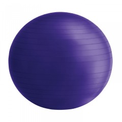 Gymnastický míč 65 cm s pumpou, fialový č.1